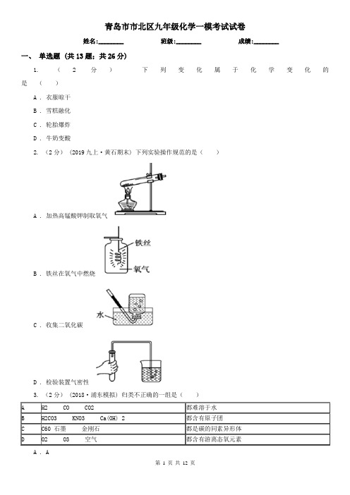 青岛市市北区九年级化学一模考试试卷