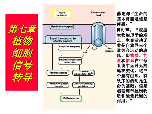 植物的细胞信号转导[1]