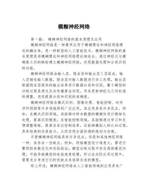 模糊神经网络3篇