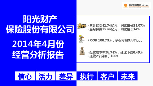 某保险股份有限公司经营分析报告(PPT 60页)