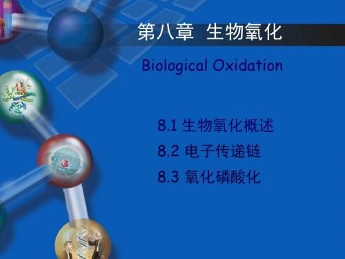 生物化学第五章生物氧化第二节电子传递链 共48页