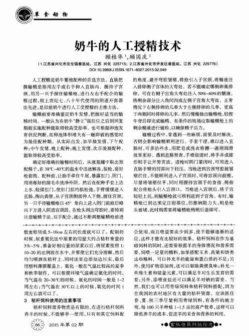 奶牛的人工授精技术