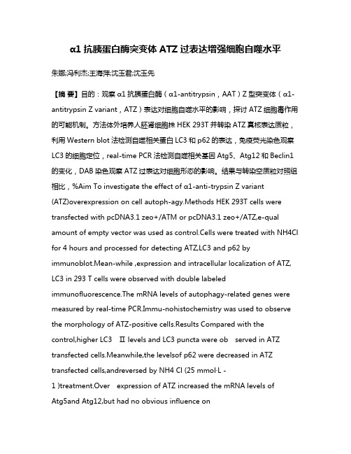 α1抗胰蛋白酶突变体ATZ过表达增强细胞自噬水平