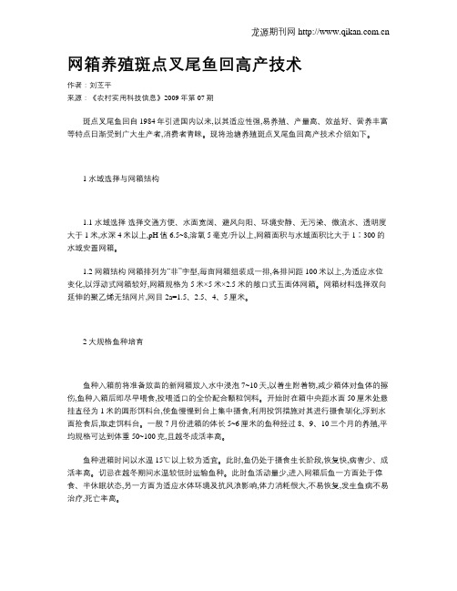 网箱养殖斑点叉尾鱼回高产技术