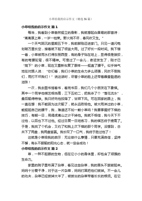 小草给我的启示作文（精选56篇）