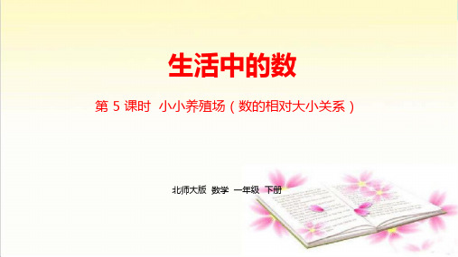 最新北师大版一年级下册数学第三单元《生活中的数》精品课件课时5