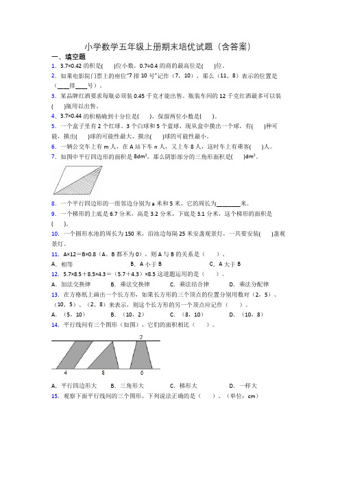 小学数学五年级上册期末培优试题(含答案)