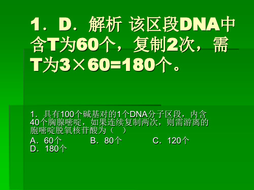 DNA复制的练习题