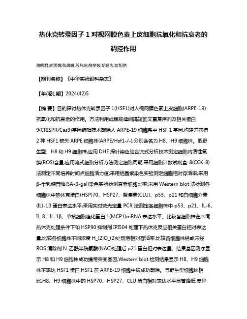 热休克转录因子1对视网膜色素上皮细胞抗氧化和抗衰老的调控作用