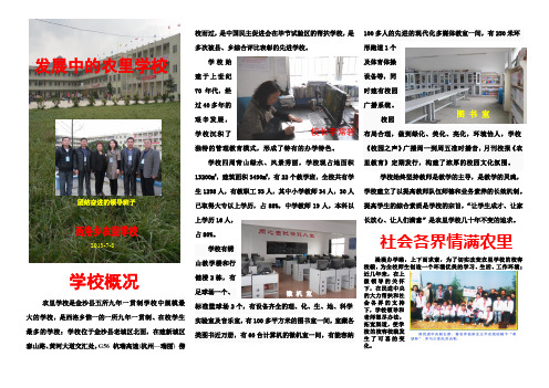 贵州省毕节市金沙县西洛街道农里学校概况