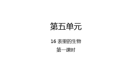 部编版六年级语文下册16表里的生物第一课时课件(24张PPT)