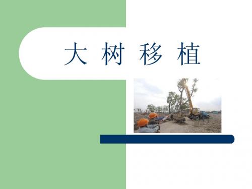 大树移植