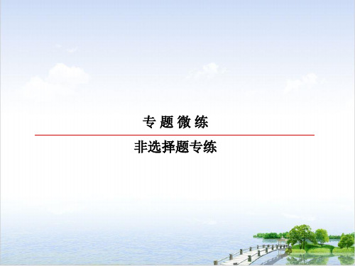 专练十七观点选择论证类主观题-高考政治二轮复习冲刺PPT课件(原文)