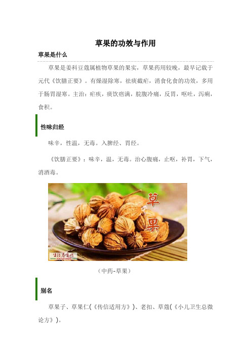 草果的功效与作用详解