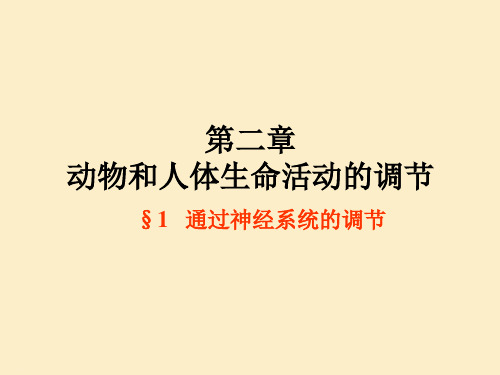 人教版生物必修三《通过神经系统调节》教学课件