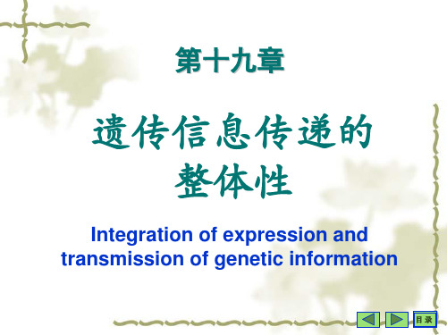 理学生物化学与分子生物学八年制课件2