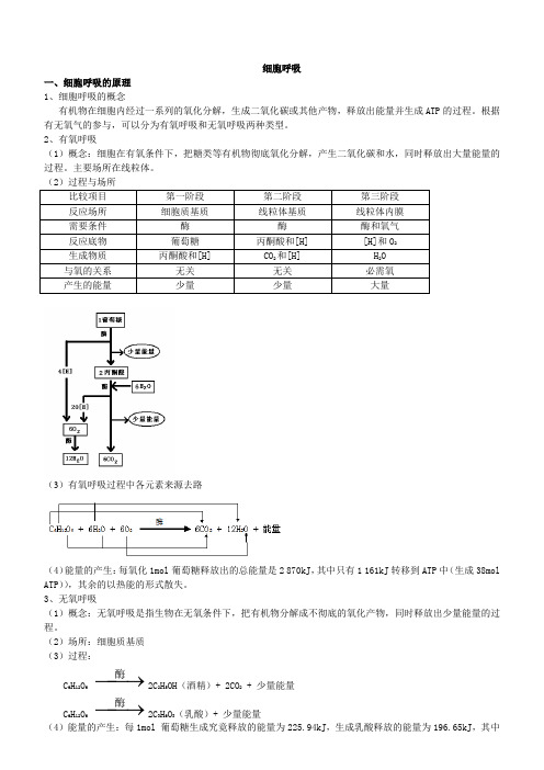 细胞呼吸