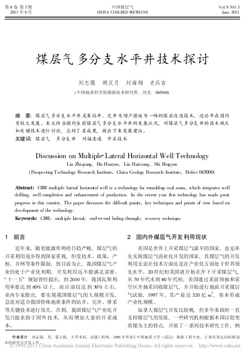 煤层气多分支水平井技术探讨
