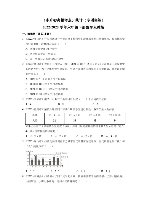 (小升初高频考点)统计(专项训练)2022-2023学年六年级下册数学人教版(含答案)