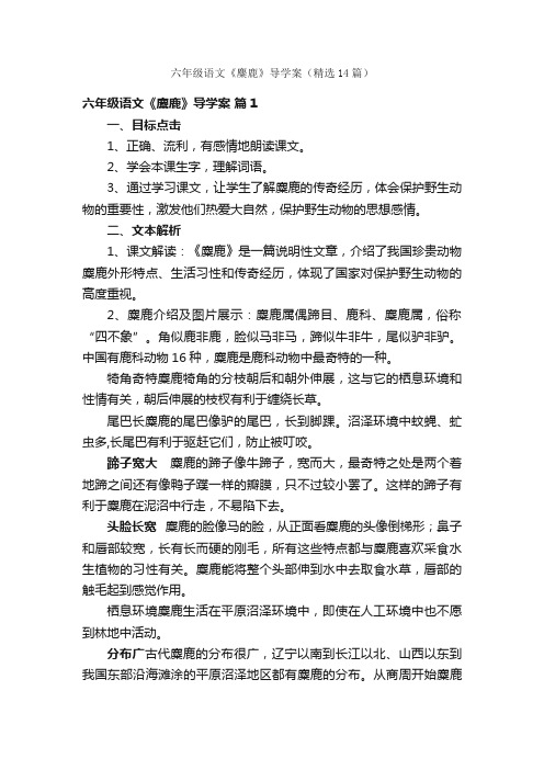 六年级语文《麋鹿》导学案（精选14篇）