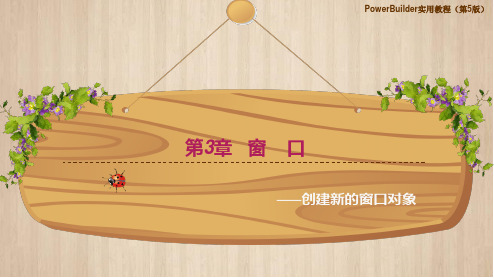 PowerBuilder实用教程第3章 窗口