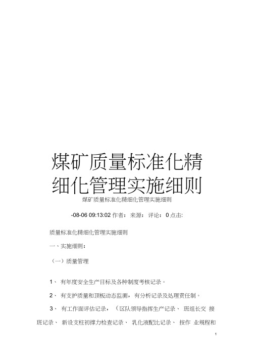 煤矿质量标准化精细化管理实施细则模板