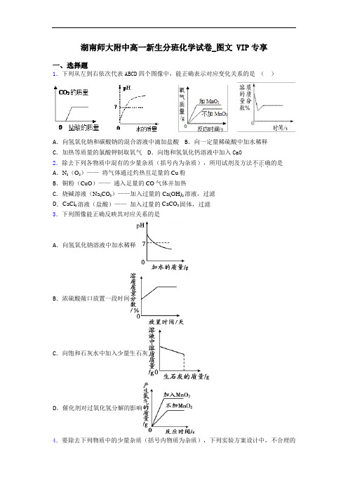 湖南师大附中高一新生分班化学试卷_图文 VIP专享