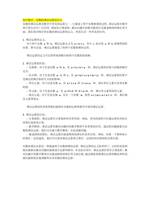 初中数学  实数的乘法运算是什么