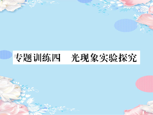 第四章专题训练四 光现象实验探究—2020秋沪科版八年级物理上册课堂作业课件