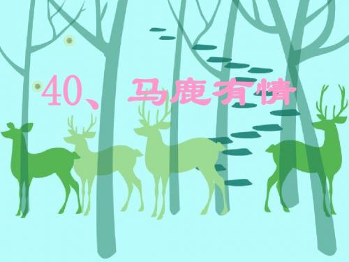 40、马鹿有情