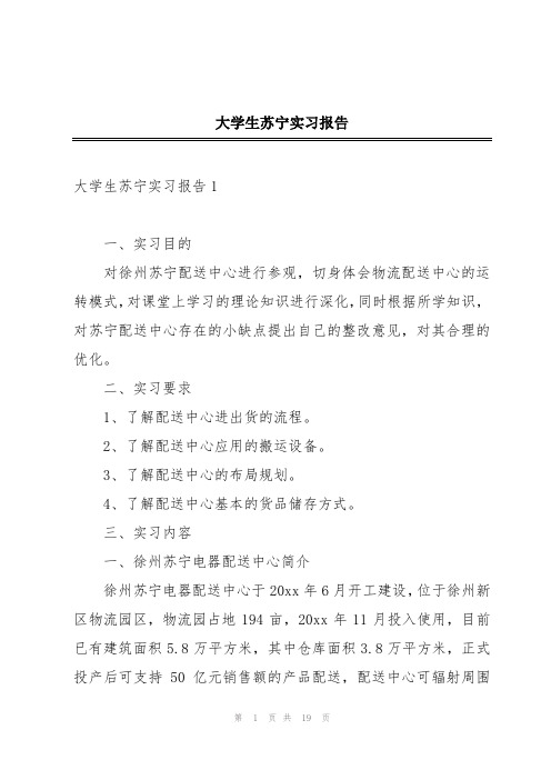 大学生苏宁实习报告