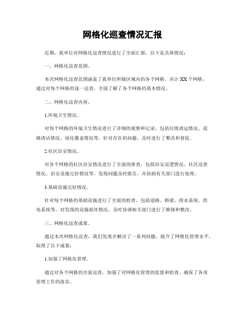 网格化巡查情况汇报