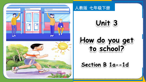 Unit 3 Section B(1a-1d)七年级英语下册(人教版)