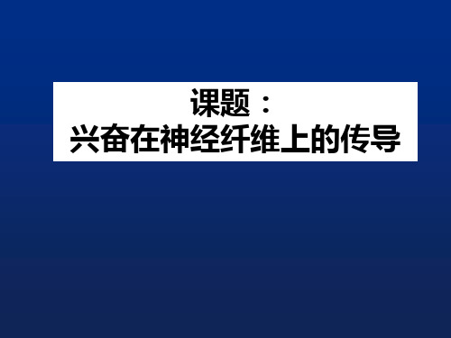 兴奋在神经纤维上的传导说课