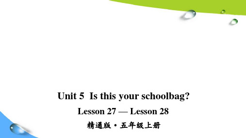 人教精通版五上英语Lesson 27—Lesson 28