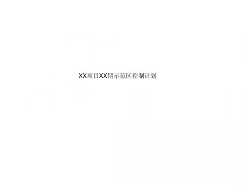 示范区控制计划(模板)