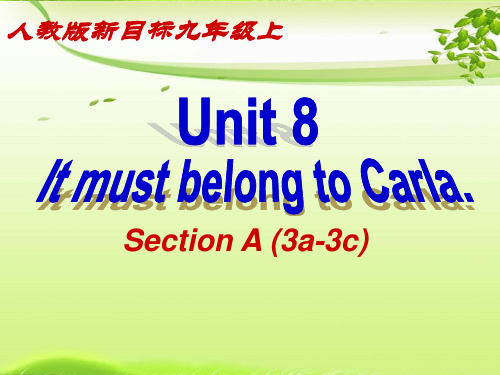 人教英语九年级全册Unit8 Section A (3a-3c) (共15张PPT)