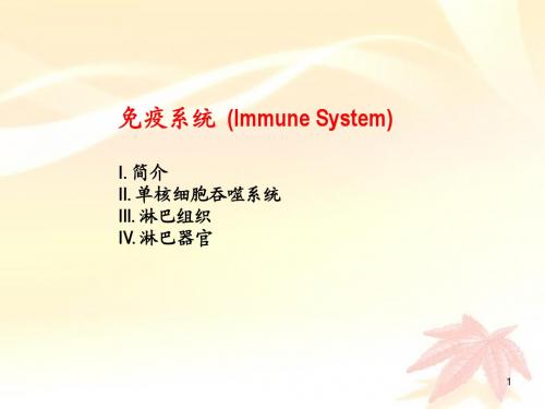 免疫系统  (Immune System)课件