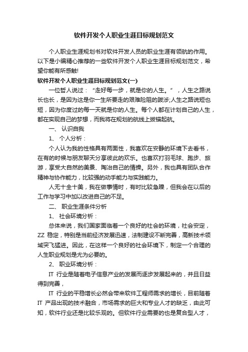 软件开发个人职业生涯目标规划范文