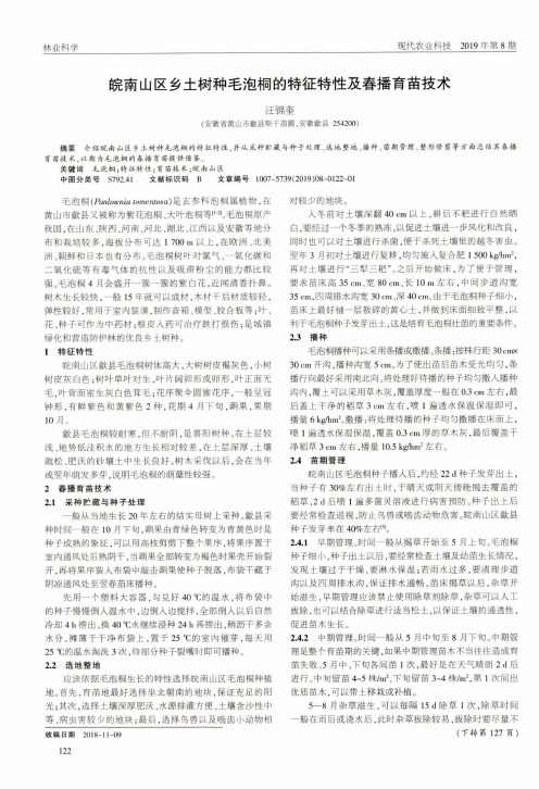 皖南山区乡土树种毛泡桐的特征特性及春播育苗技术