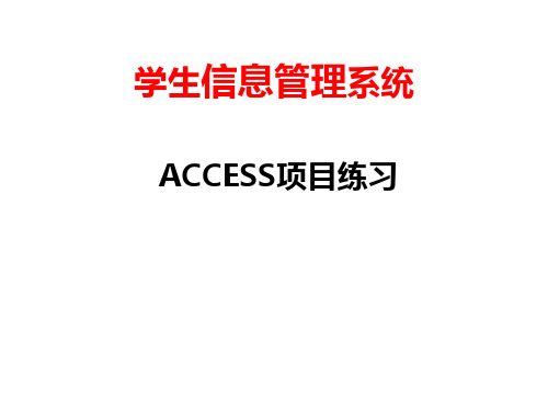 access项目124P