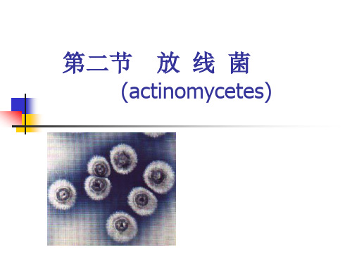 第二章 放线菌