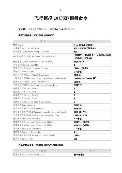 飞行模拟10(FSX)键盘命令