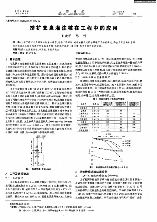 挤扩支盘灌注桩在工程中的应用