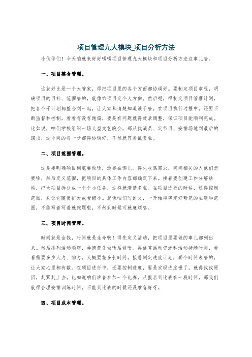 项目管理九大模块_项目分析方法