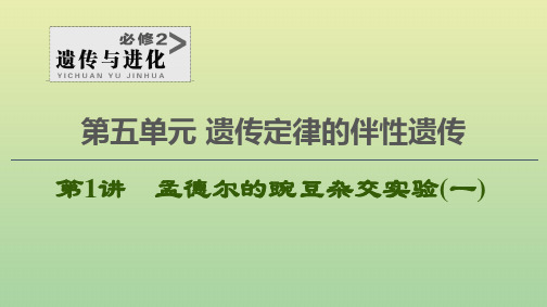 高考生物一轮复习第5单元遗传定律的伴性遗传第1讲孟德尔的豌豆杂交实验(一)课件新人教版