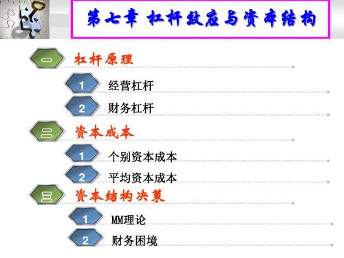 7杠杆效应与资本结构