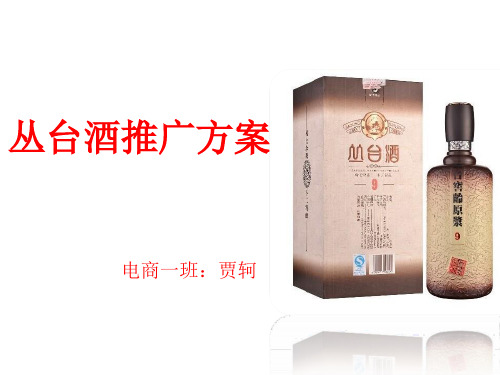 丛台酒推广方案