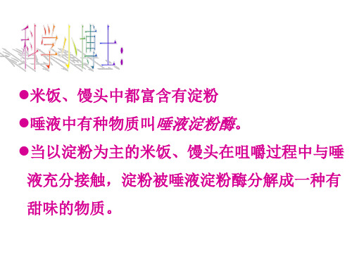 米饭、淀粉和碘酒的变化课件