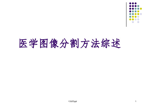 医学图像分割方法综述ppt课件